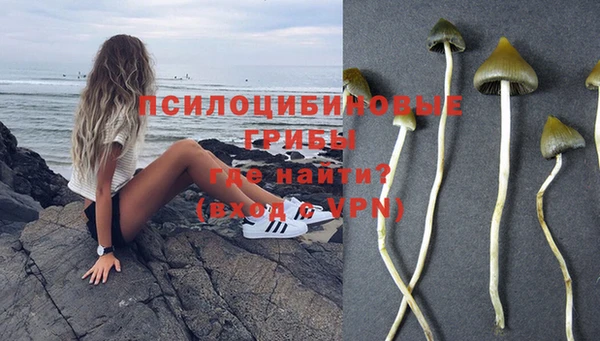 гашишное масло Беломорск