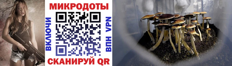 ОМГ ОМГ рабочий сайт  Верхотурье  Псилоцибиновые грибы MAGIC MUSHROOMS  где купить наркотик 